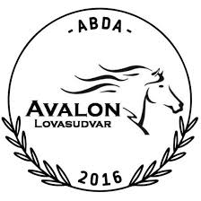 kupainfo.hu - bérelhető felület